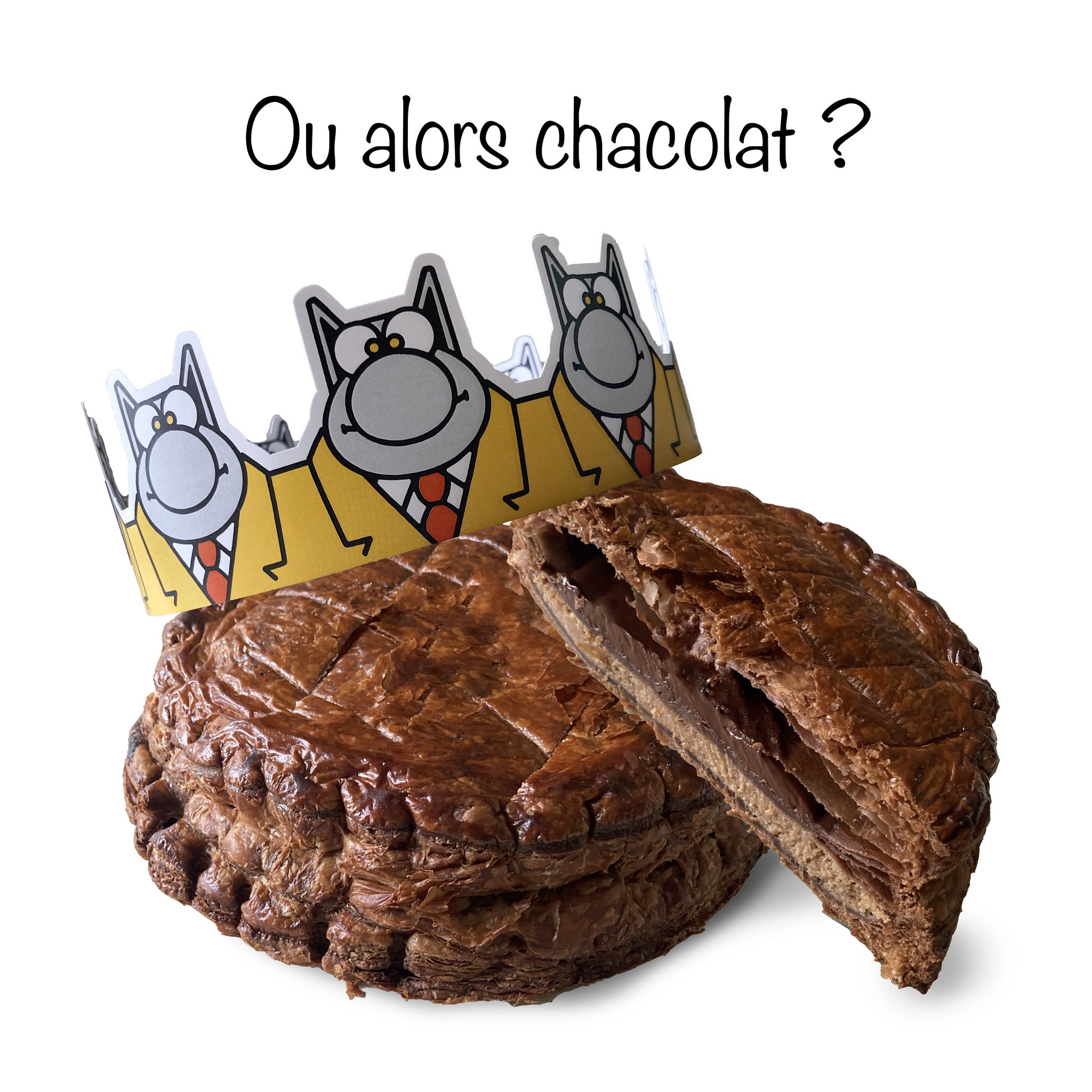 galette_chat_chocolat.jpg